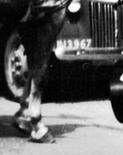 Detail van foto 1