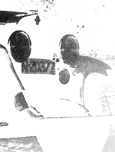 Detail (negatief) van foto 1