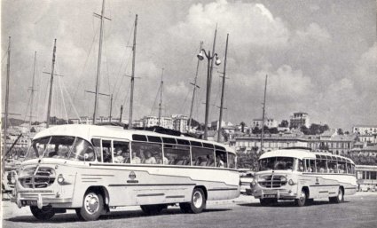 DAF (collectie Conam)