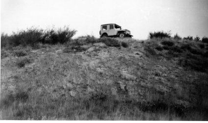 Willys Jeep (collectie Frans Martens)