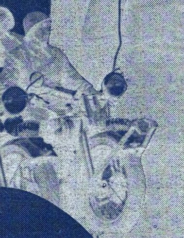 Harley-Davidson (detail, negatief, van foto 4)