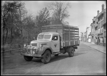 Dodge T110L (Foto: Schmidlin, Tilburg. Bron: collectie Regionaal Archief Tilburg)