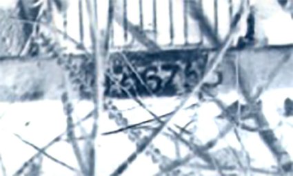 Detail (negatief) van foto 1