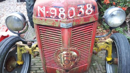 N-98038 (foto: T. Henneman)