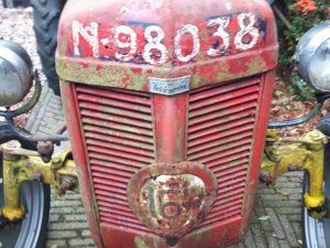 N-98038 (foto: T. Henneman)