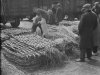 Foto: Fotopersbureau Het Zuiden (collectie BHIC)