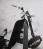 Foto: W. v.d. Loo