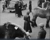 Vauxhall (bron: ZLM-journaal 1951 dl. 1; Zeeuws Archief)